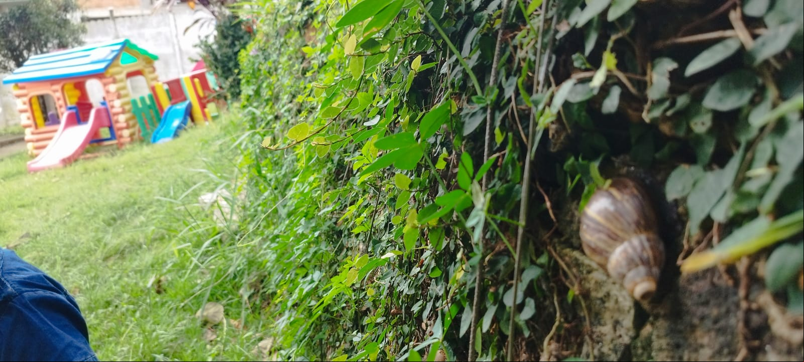 Foto da galeria