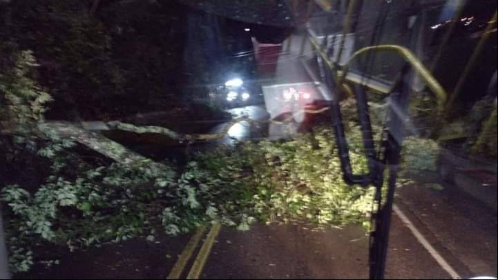 A áevore caída na pista (Foto de leitor)
