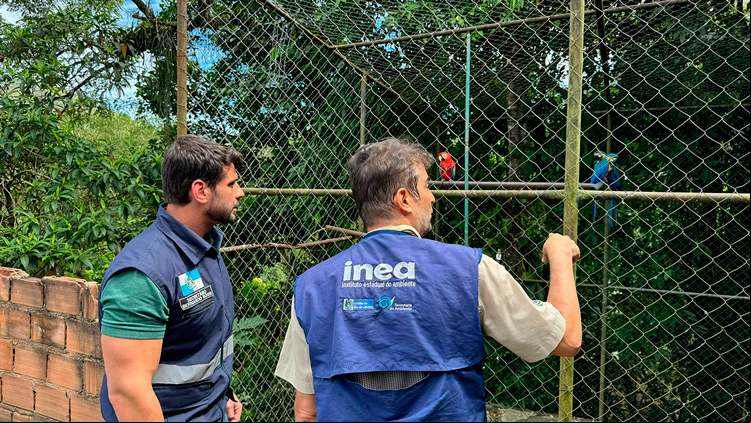 (Fotos: Divulgação)