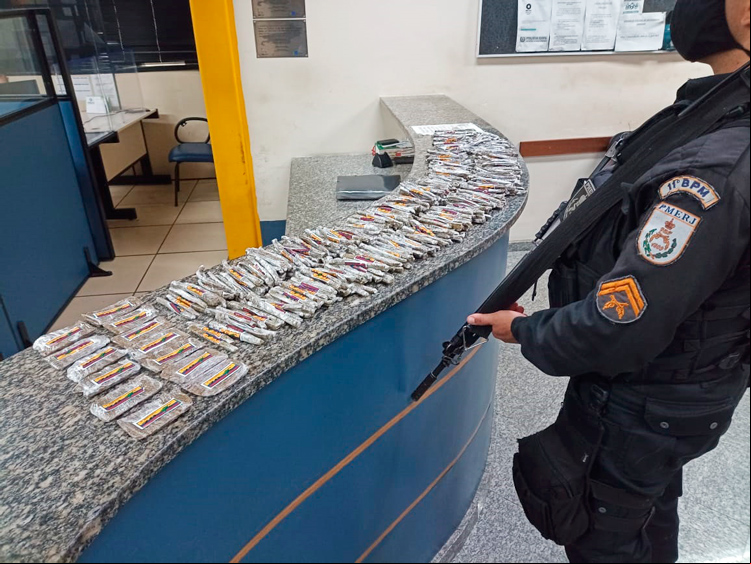 A droga apreendida em Conselheiro (Foto: 11 BPM)